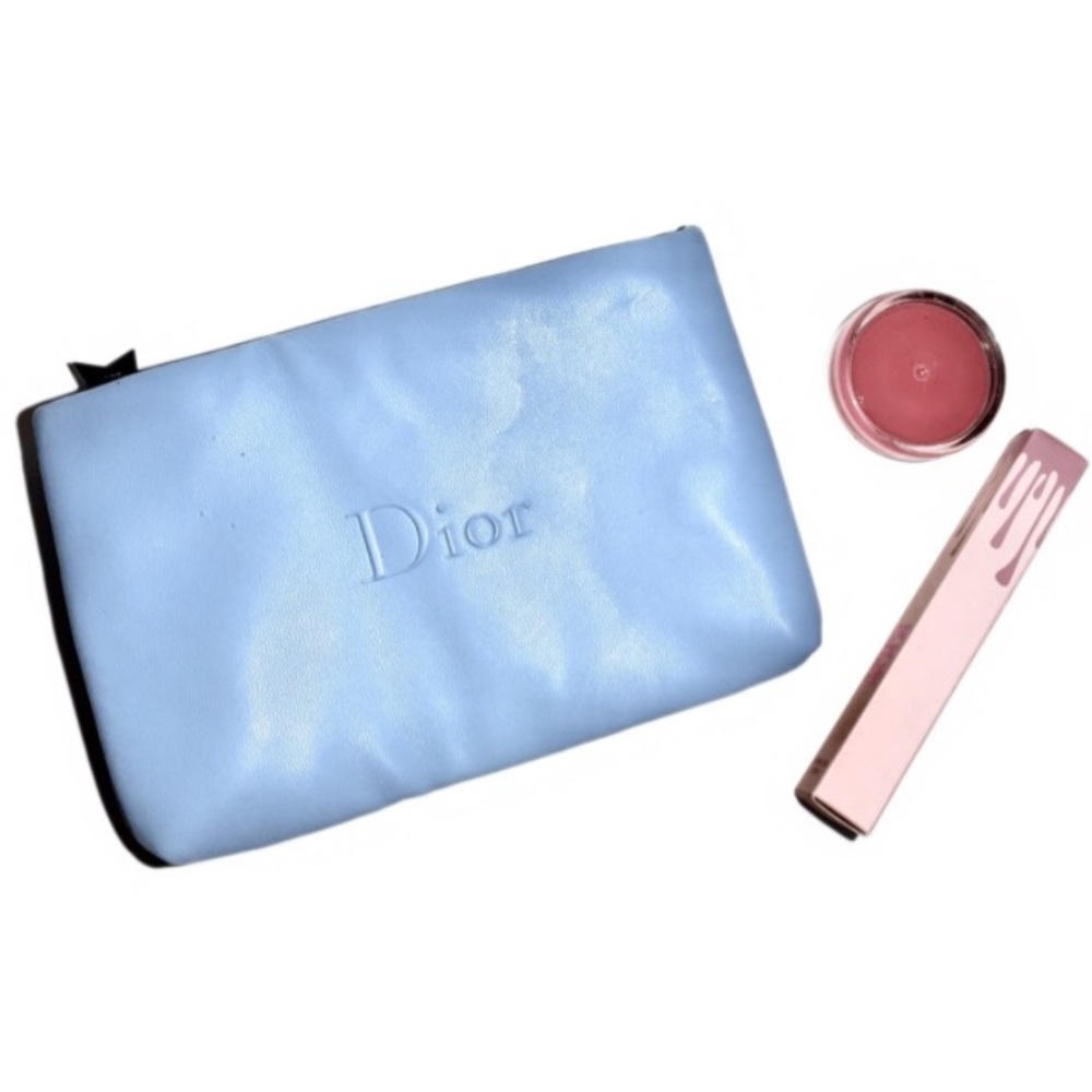 Dior zip bag